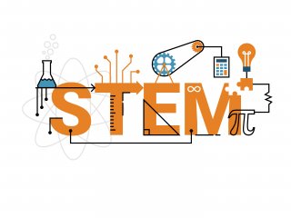 STEM in the Elementary Classroom